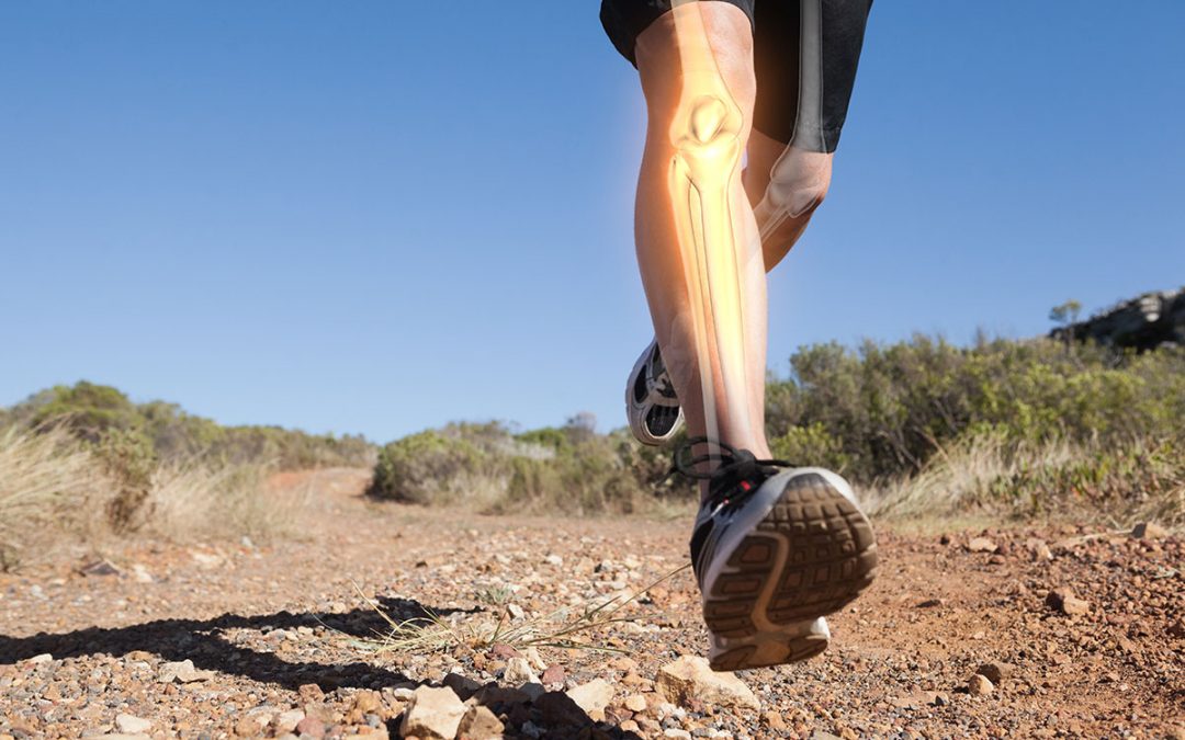 Will Running Damage Your Knees? Studies Say No.